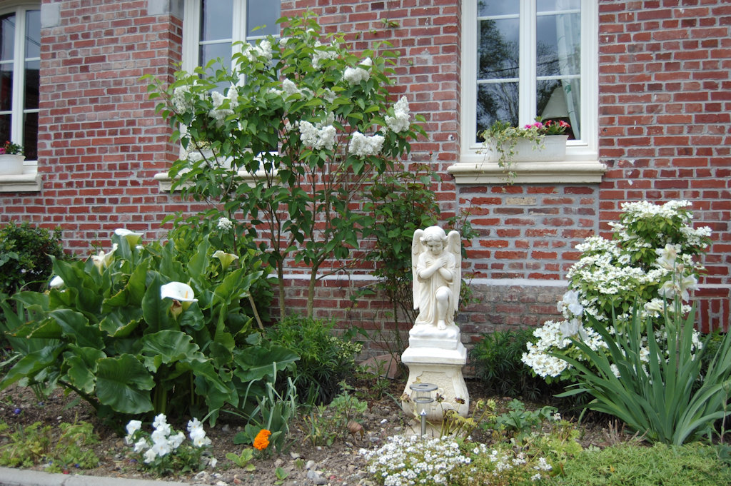 Fleurs et jardin de La Résilience